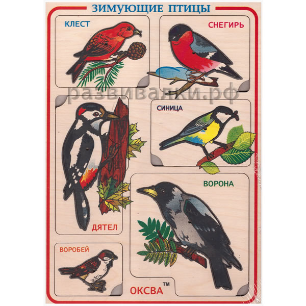 Мультфильм Про Зимующих Птиц Для Детей